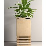 uBreathe Life Plant Based Air Purifier - Area Covered 250 Sqft