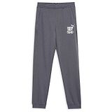 PUMA Park Squad Text Printed Track Pant - Grey