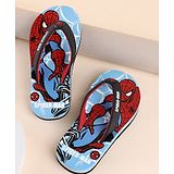 Kidsville Marvel Featuring  Spiderman Printed Flip Flops - Blue