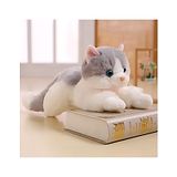 Tickles Cat Soft Stuffed Plush Animal Toy for Kids Birthday Gifts (Length 30 cm Color: White and Grey)