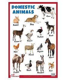 Charts And Posters Online - Buy Read and Learn for Baby/Kids at ...