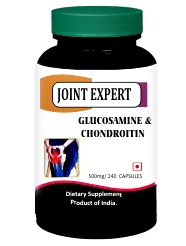 Joint Expert Glucosamine and Chondroitin - 500 mg