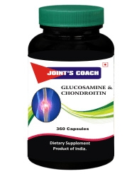 Joint''s Coach Glucosamine and Chondroitin