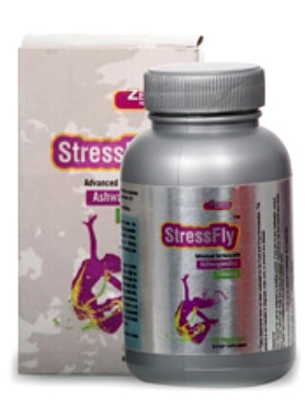 Zenith Nutrition StressFly
