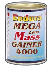 Endura Mega Lean Mass Gainer 4000