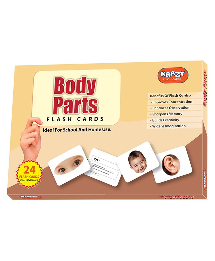 Krazy Parts Of Body Flash Cards Multi Color - Pack Of 24