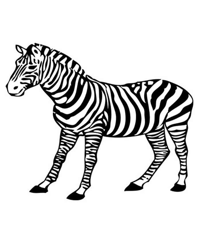Party Propz Zebra Cutout Black & White - Width 58.4 Cm