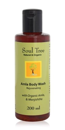 Soul Tree Amla Body Wash
