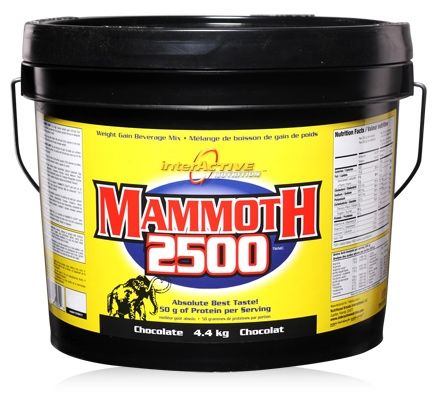 Interactive Nutrition Mammoth 2500 - Chocolate