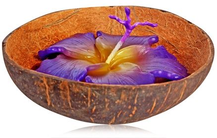 Soulflower Lavender Hibiscus Coconut Candle
