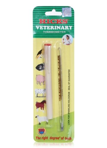 Hicks - Veterinary Thermometer