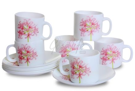 LaOpala Regular Coffee Cup & Saucer Set - St. Berry Pettel