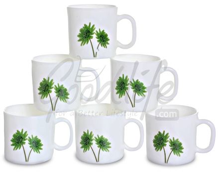 LaOpala Regular Coffee Mug Set - Novel Grace