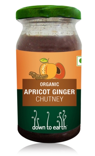 Down To Earth Apricot Ginger Chutney