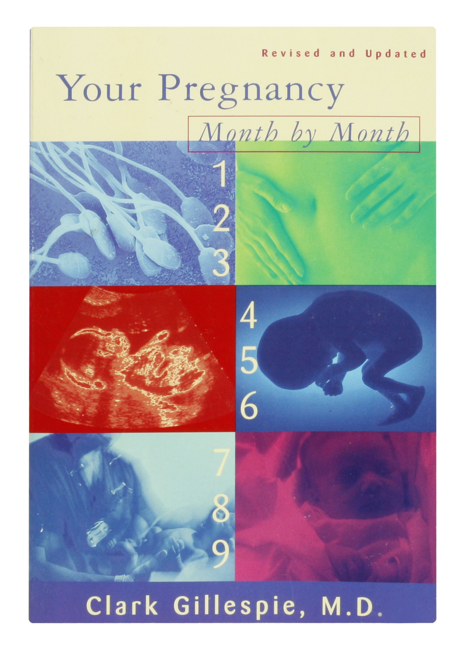 Your Pregnancy Month By Month