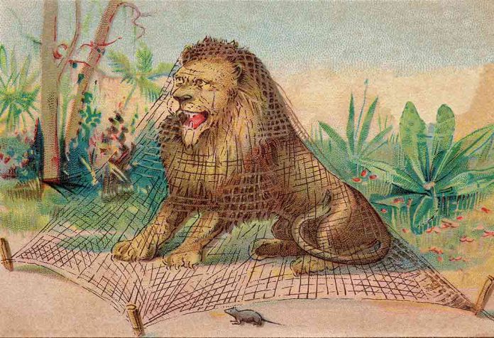The Lion And The Mouse Story - Interesting Moral Story for Kids