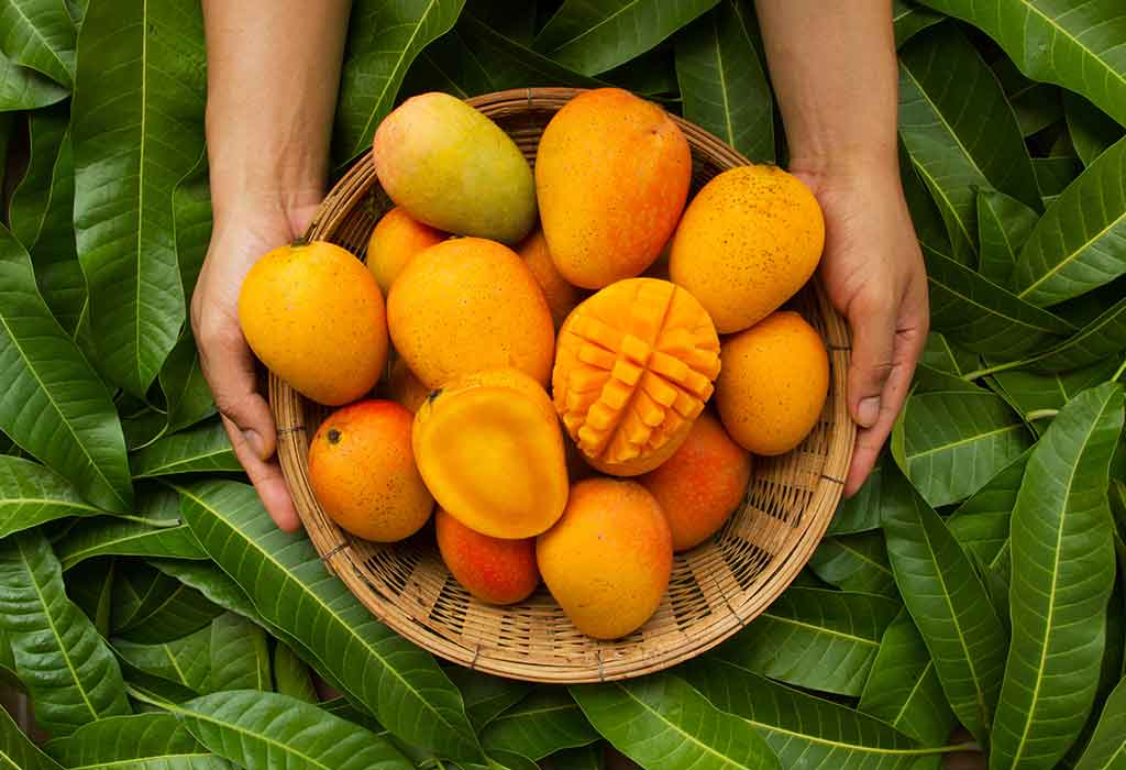 Essay on the Mango (in English) for Classes 1, 2 & 3: 10 Lines, Short &  Long Paragraph