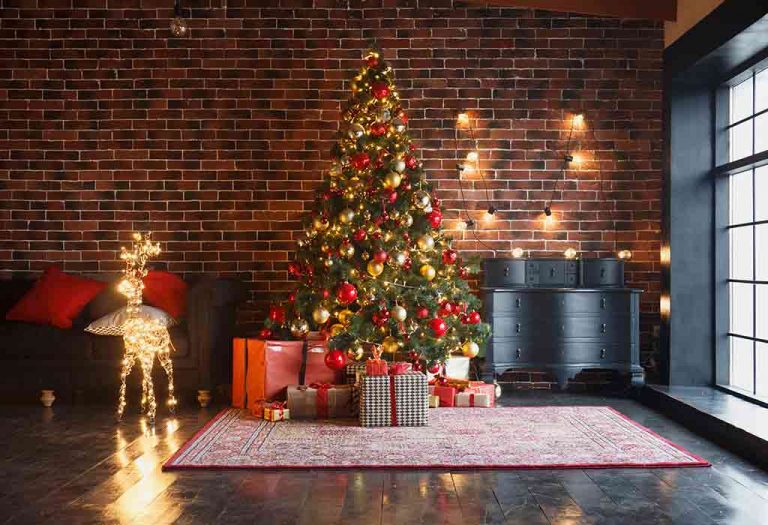 Christmas Essay in English for Classes 13 10 Lines, Short & Long
