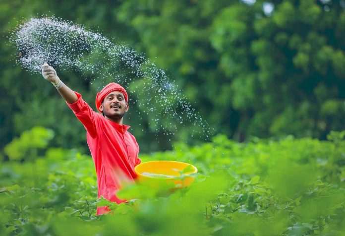 Essay on Indian Farmer For Kids - 10 Lines, Short and Long Essay