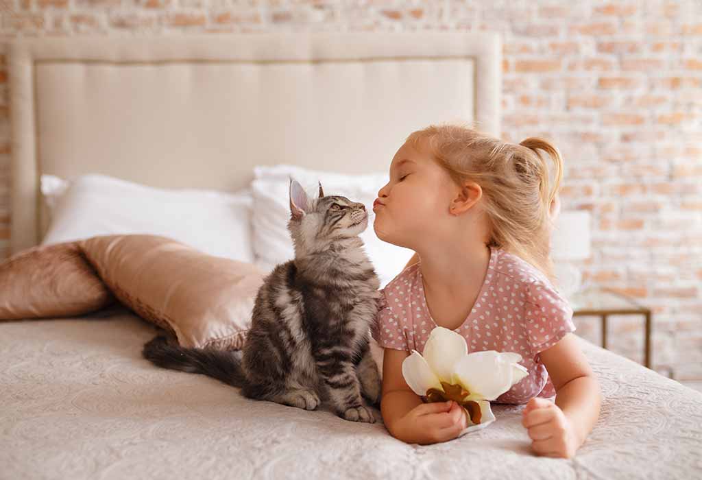 Essay on Cats For Kids - 10 Lines, Short and Long Essay