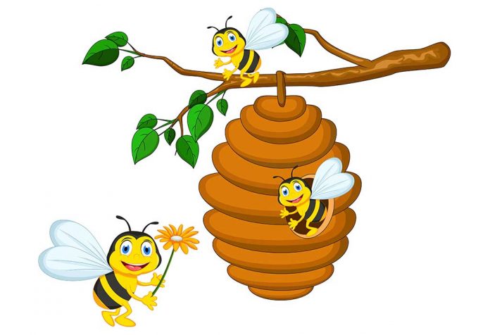 Bees and Beehive
