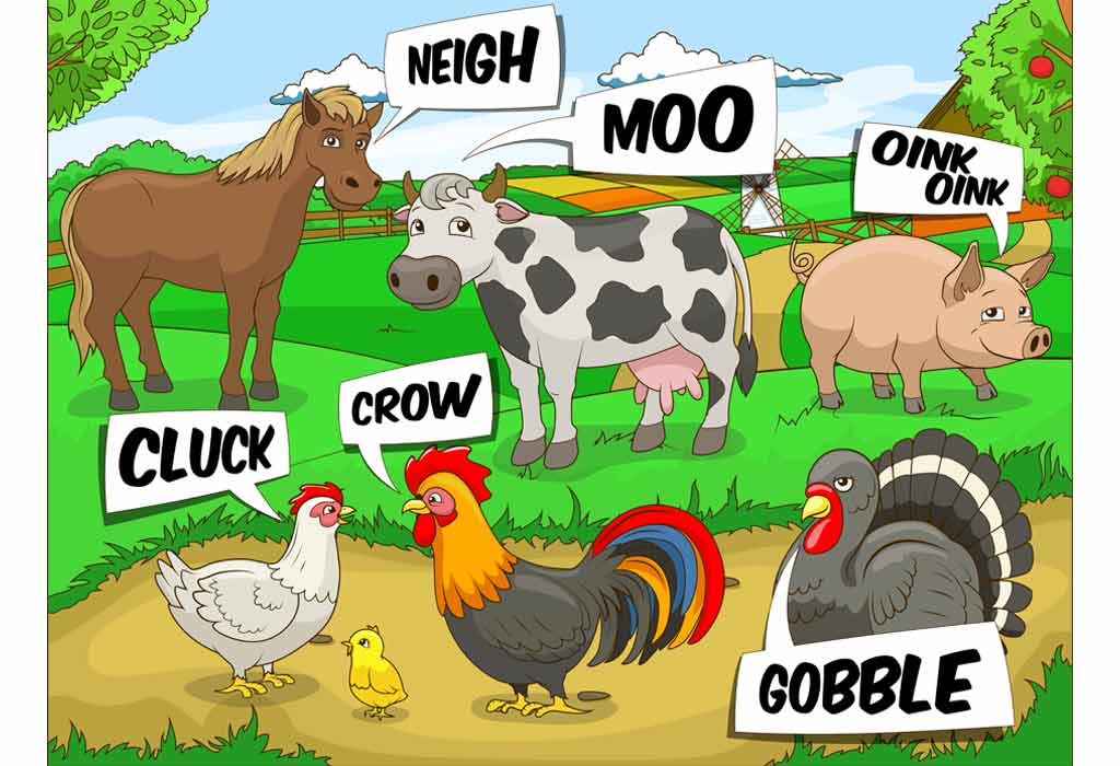 GK Questions on Animal Sound Names For Class 1, 2,& 3 Kids