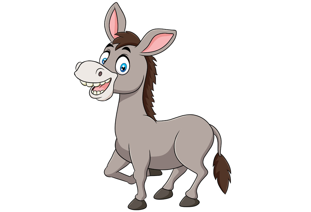 donkey babies foal