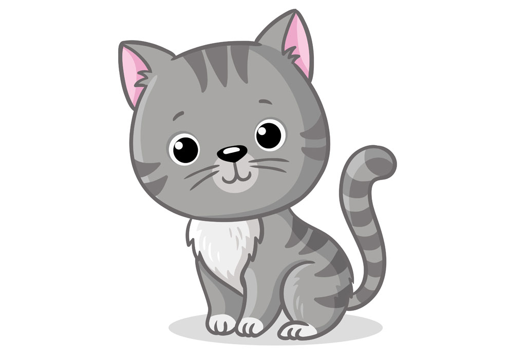 kitten