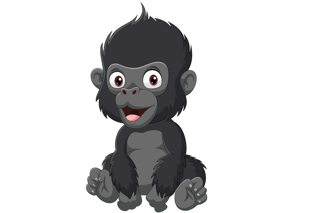 baby gorilla