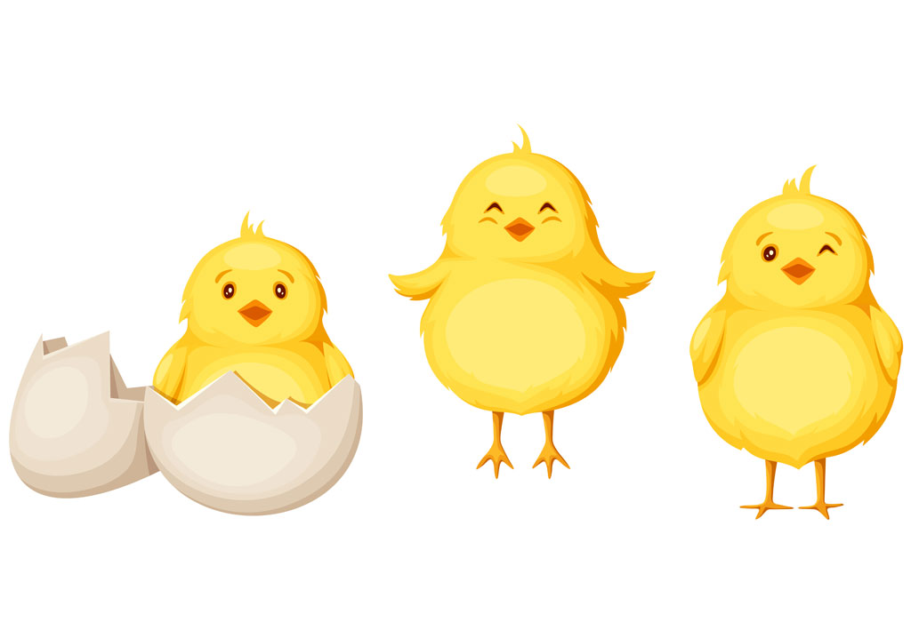 chick