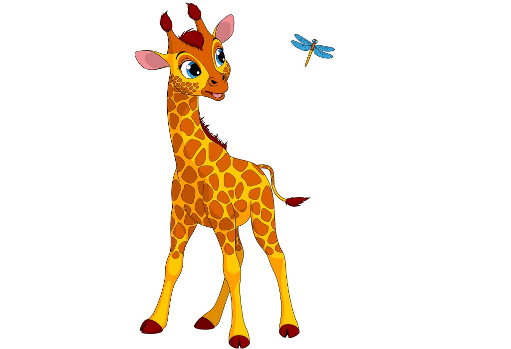 what is the young one of a giraffe called