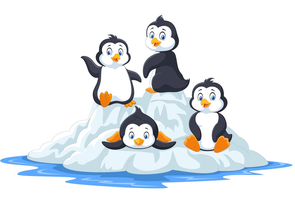 what is the young one of a penguin called