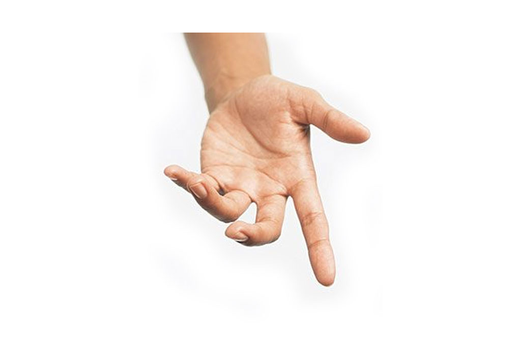 human hand