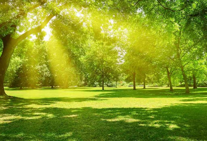 Essay on Summer Season For Class 1, 2 and 3 Kids