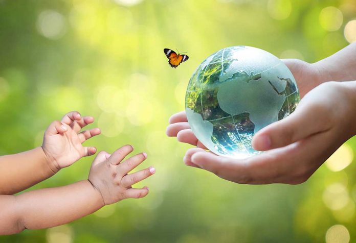 Save Environment Essay For Children -10 Lines, Short and Long Essay