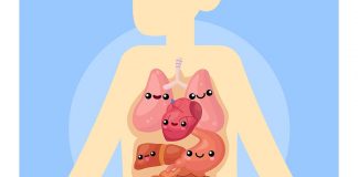 Human Body part quiz for class 1