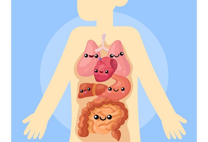 Human Body part quiz for class 1