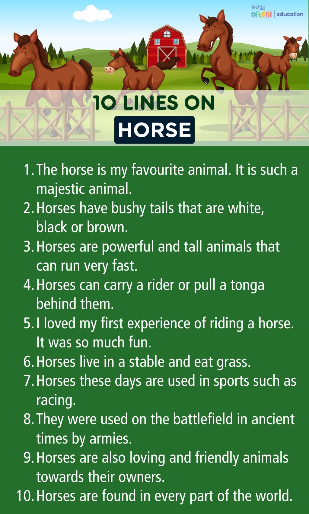 10 Lines On Horse - Infographic