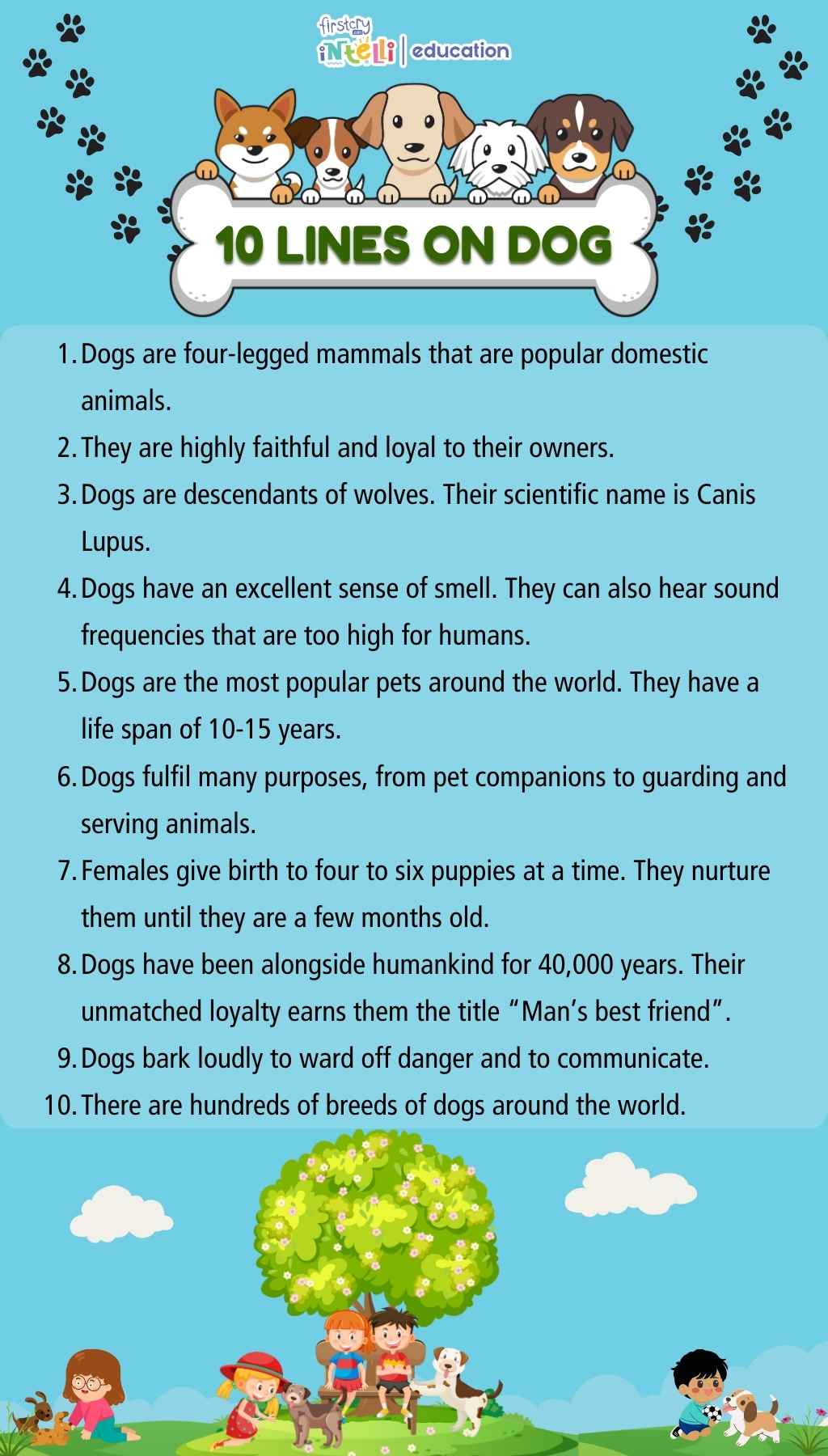 10 Lines On Dog - Infographic