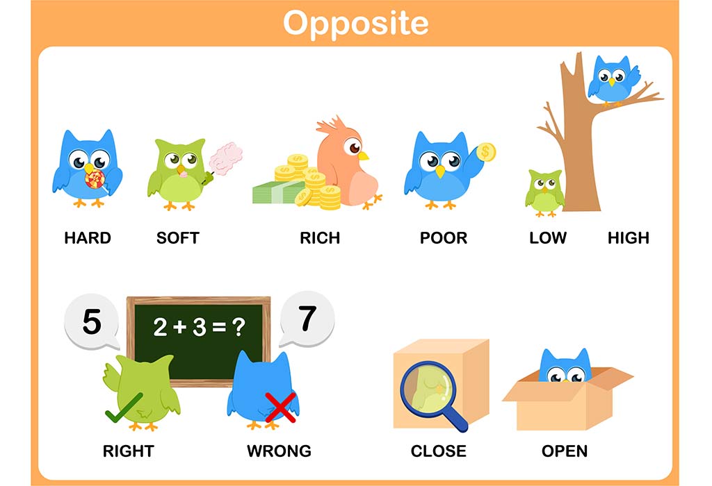 Antonyms List 100 Opposite Words In English For Class 2 Children