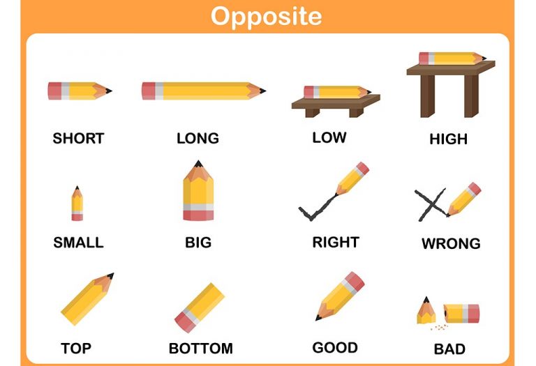 opposite-words-worksheet-for-class-1