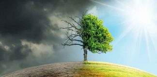 essay on environmental pollution