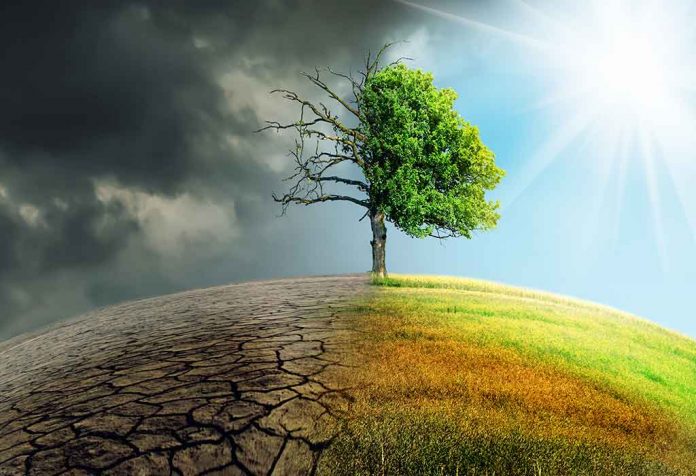 essay on environmental pollution