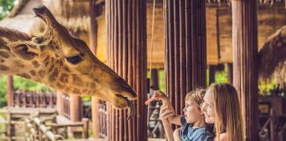 essay on visit to a zoo