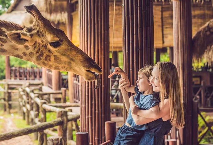 essay on visit to a zoo