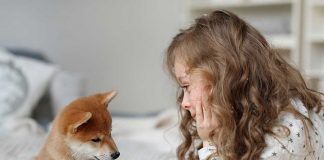 Essay on Favourite Animal - 775303891