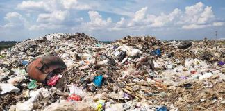 Essay on Land Pollution