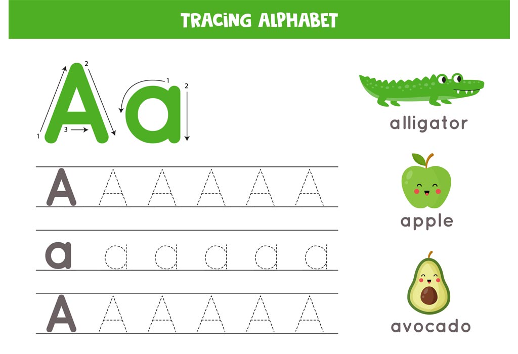 List of 4 Letter Words That Start With 'A' For Children To Learn