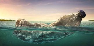 Essay on Water Pollution - 1211334679