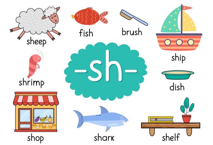 list-of-words-that-start-with-letter-sh-for-children-to-learn